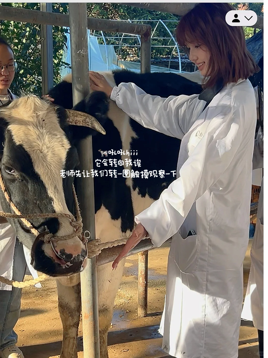 兽医系?牛场实践我会假装自己是个chillguy