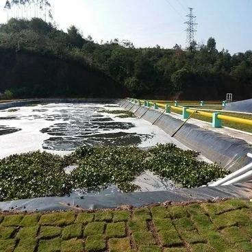 畜牧沼气池土工膜双道热熔焊接缝防渗效果