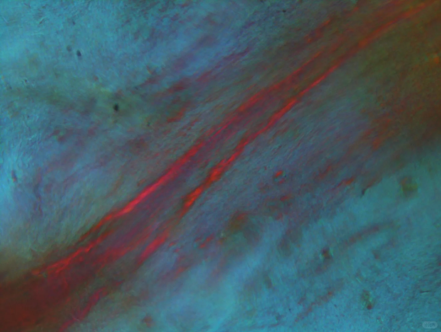 显微镜下的艺术 —— 液晶织构