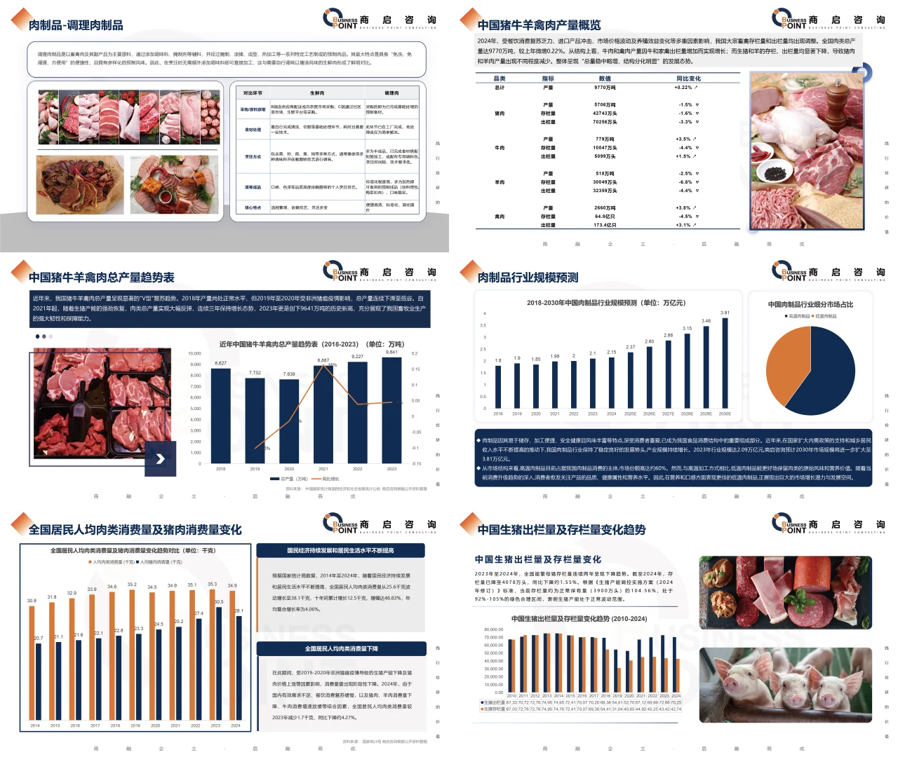 ? 商启咨询 肉制品行业研究报告