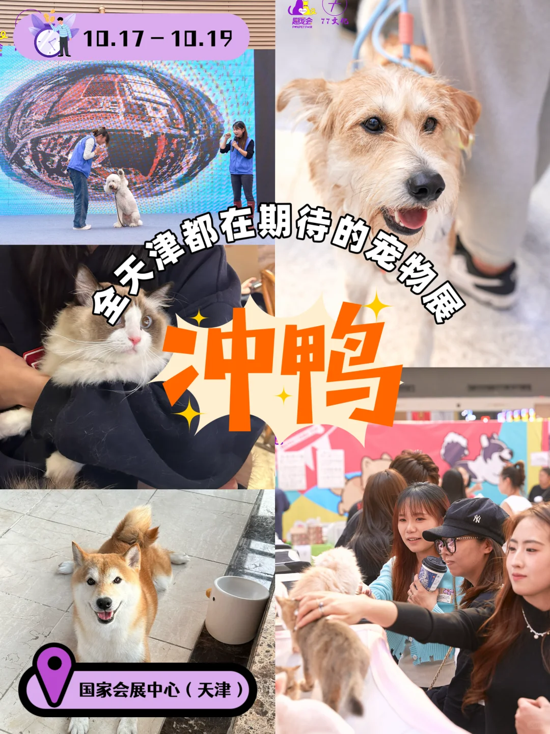 第三届趣宠会定档！天津10.17带毛娃冲