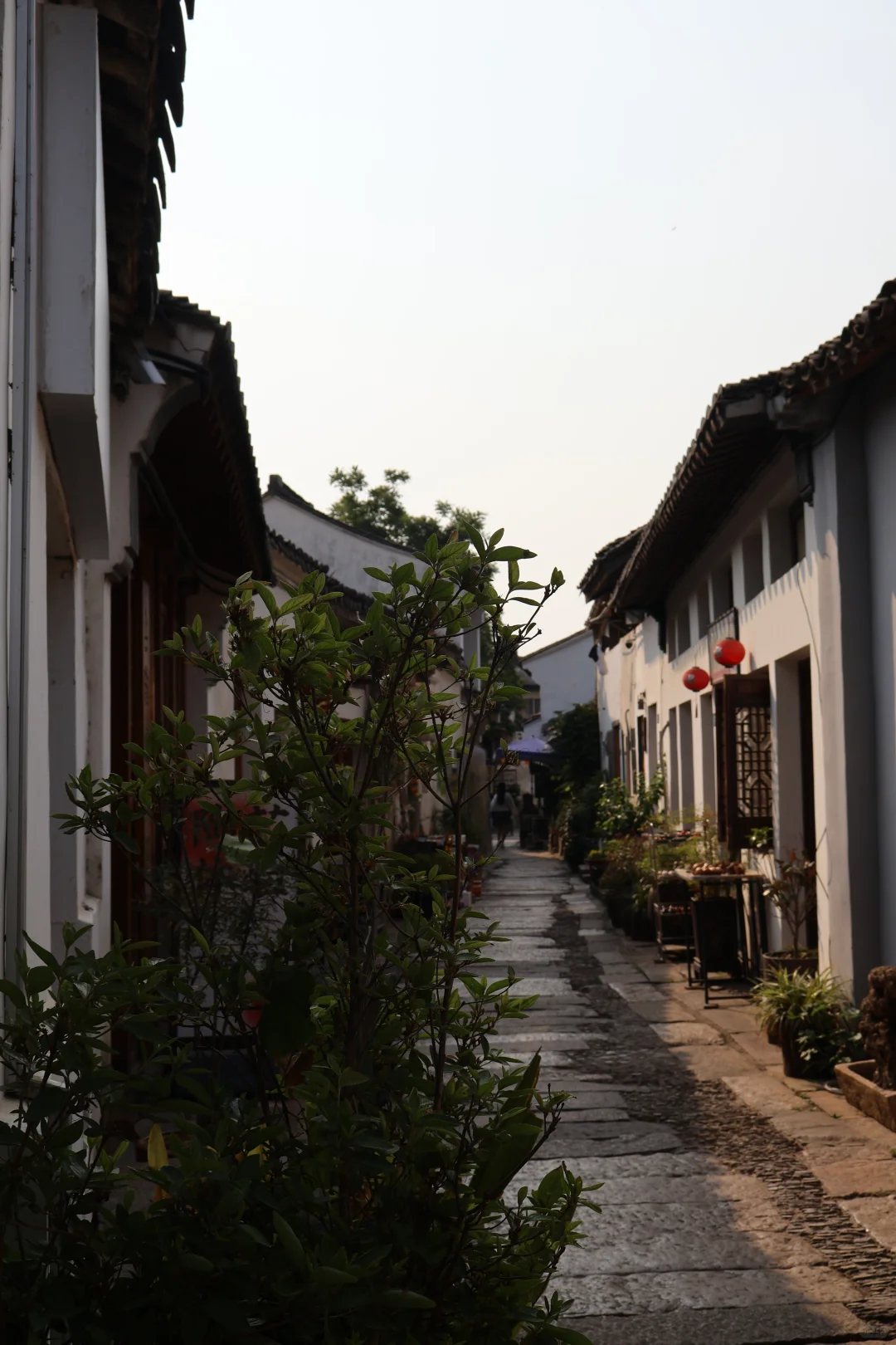 佳能r50狗都不买