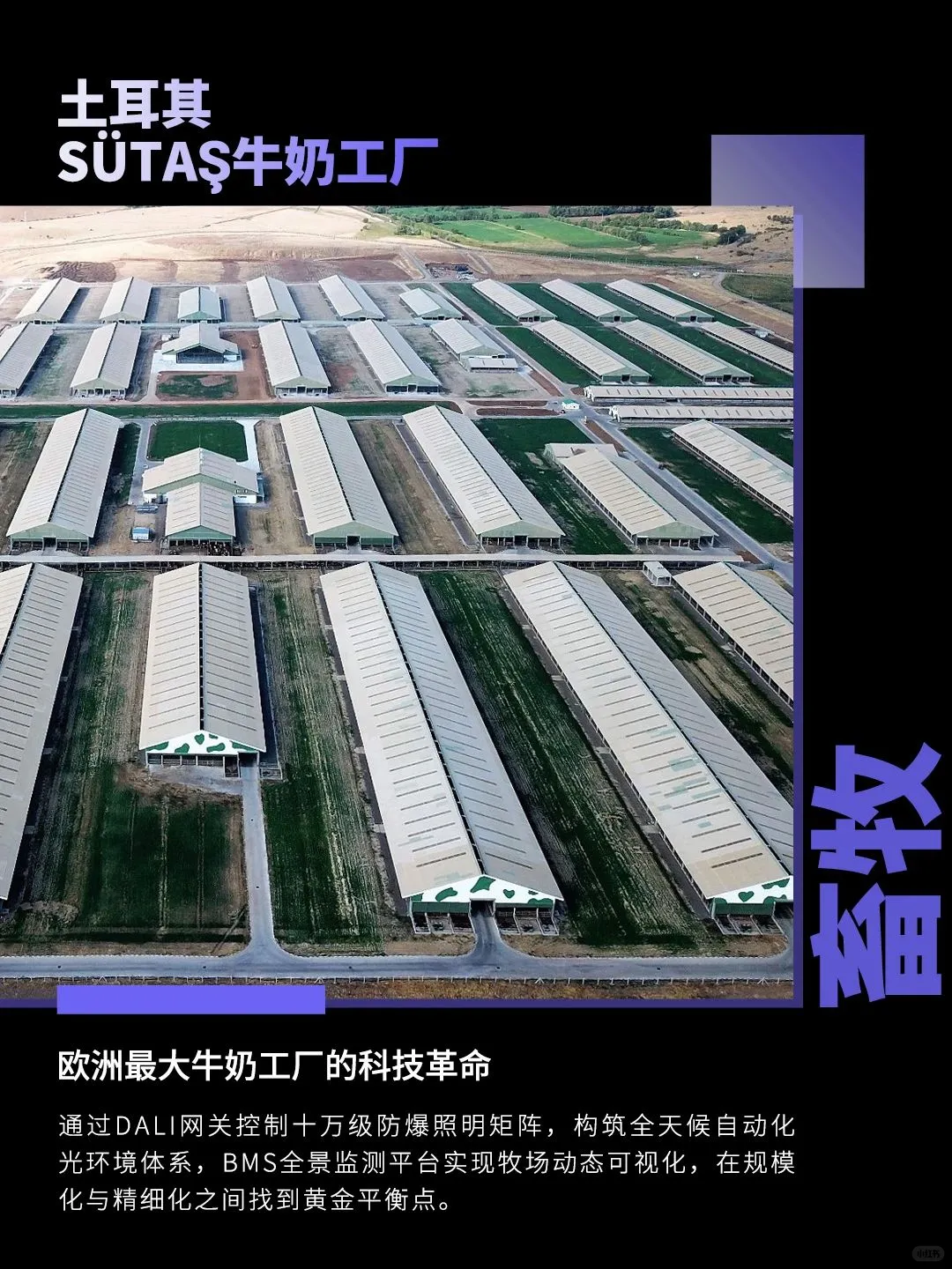 广州藏不住了！这家智能家居大佬竟低调40年