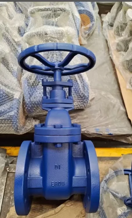 美标铸铁阀门|ANSI cast iron valve