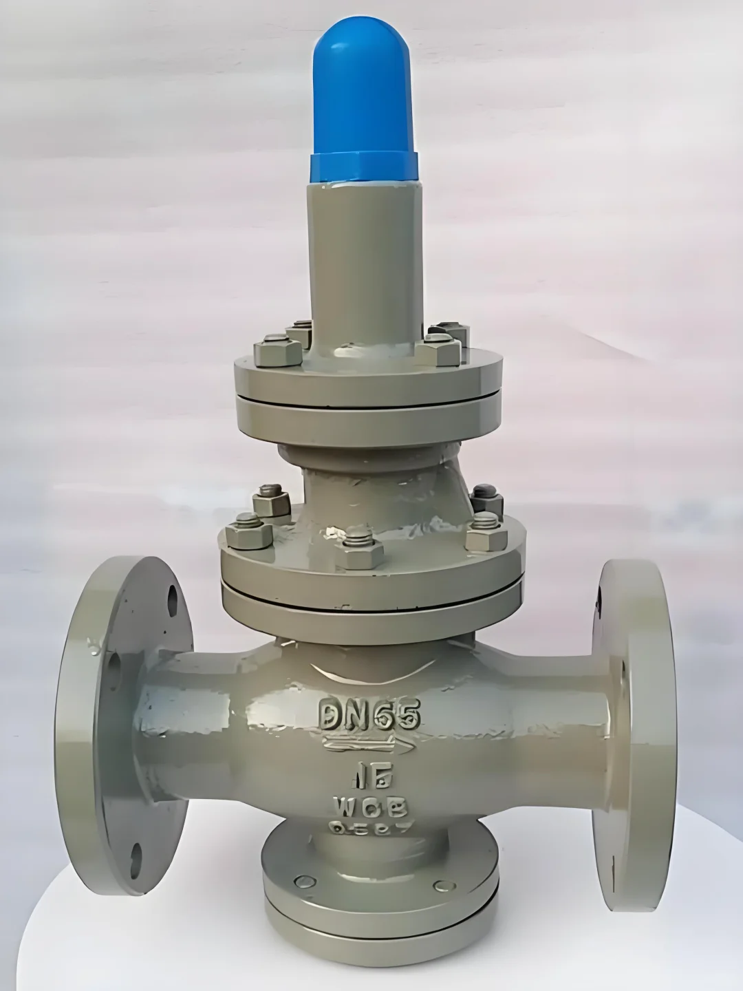 不锈钢减压阀高端