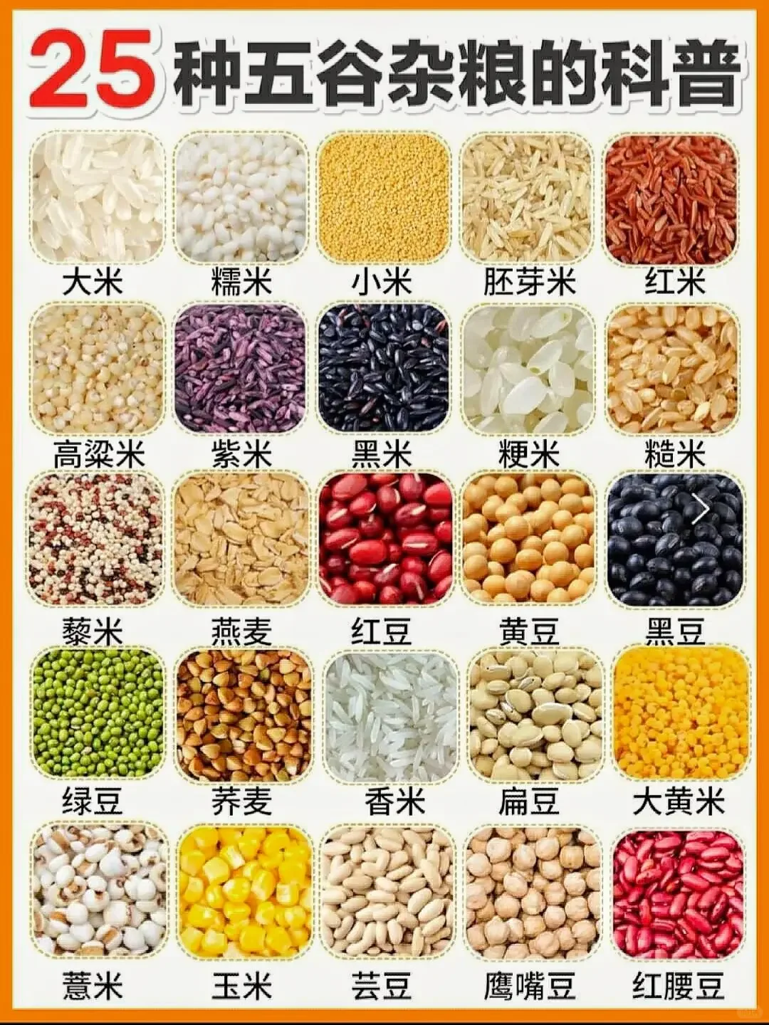 谷子≠五谷，25种五谷杂粮科普