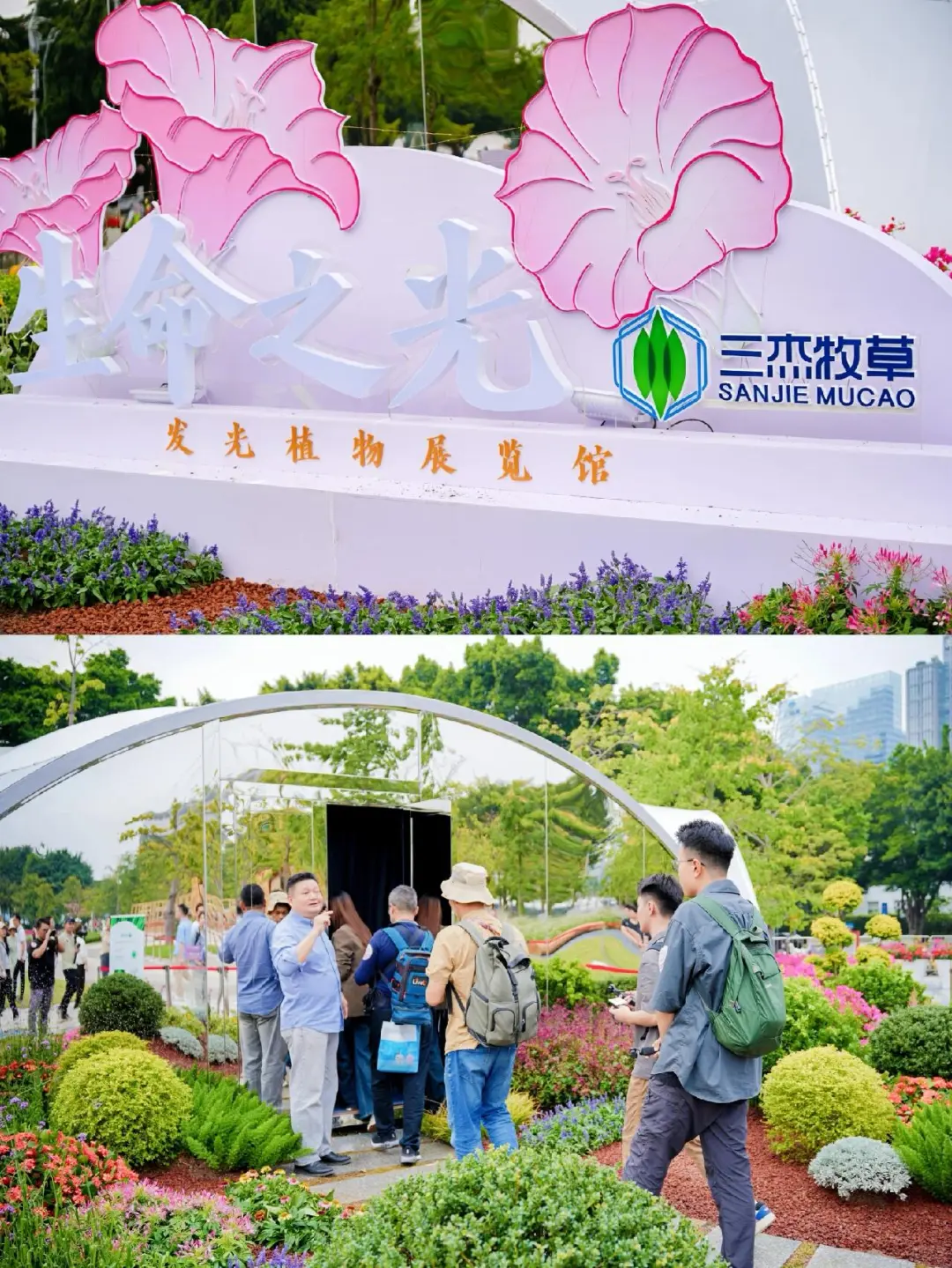 速预约！园博会「暗夜花房」美到窒息?