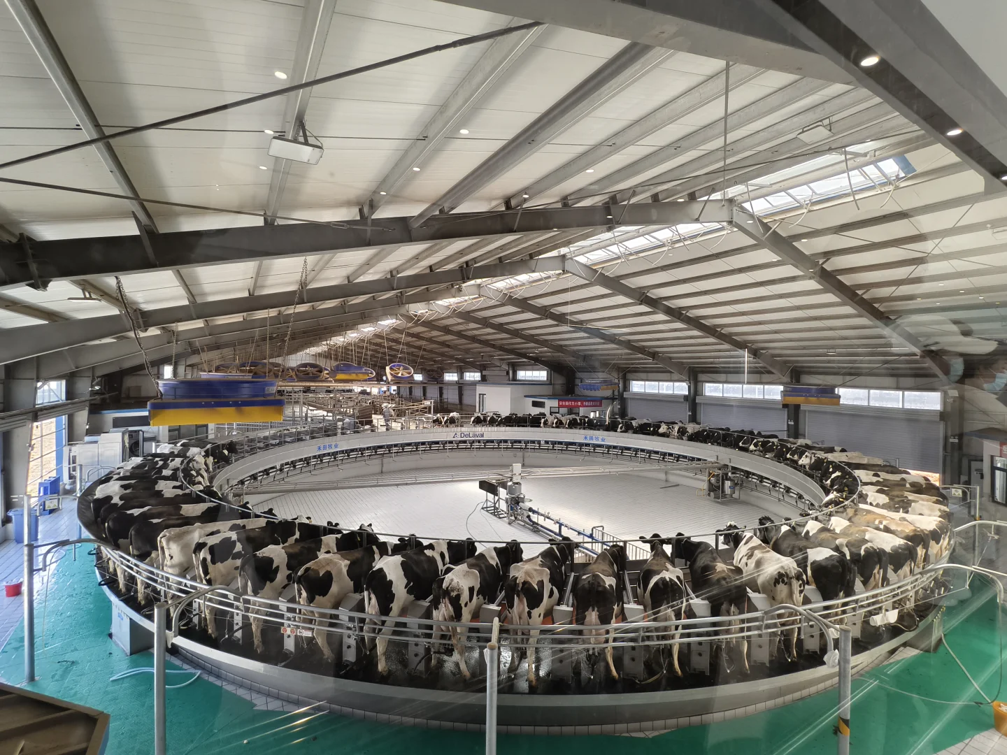 别再羡慕其它城市鲜奶了⚠️秦皇岛鲜奶配送