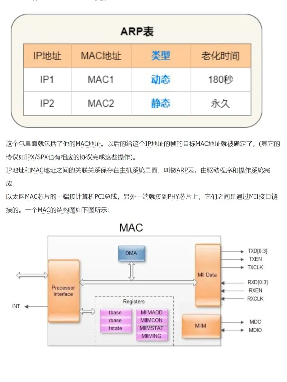 MAC（Media Access Control）即