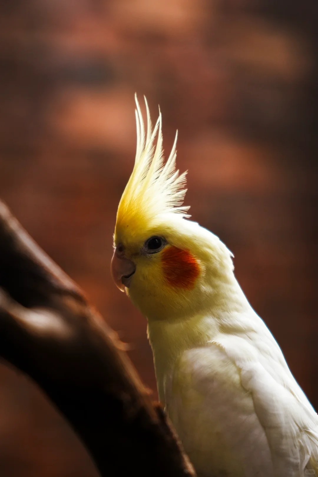 ??人生第一架微单 - Sony a7m4