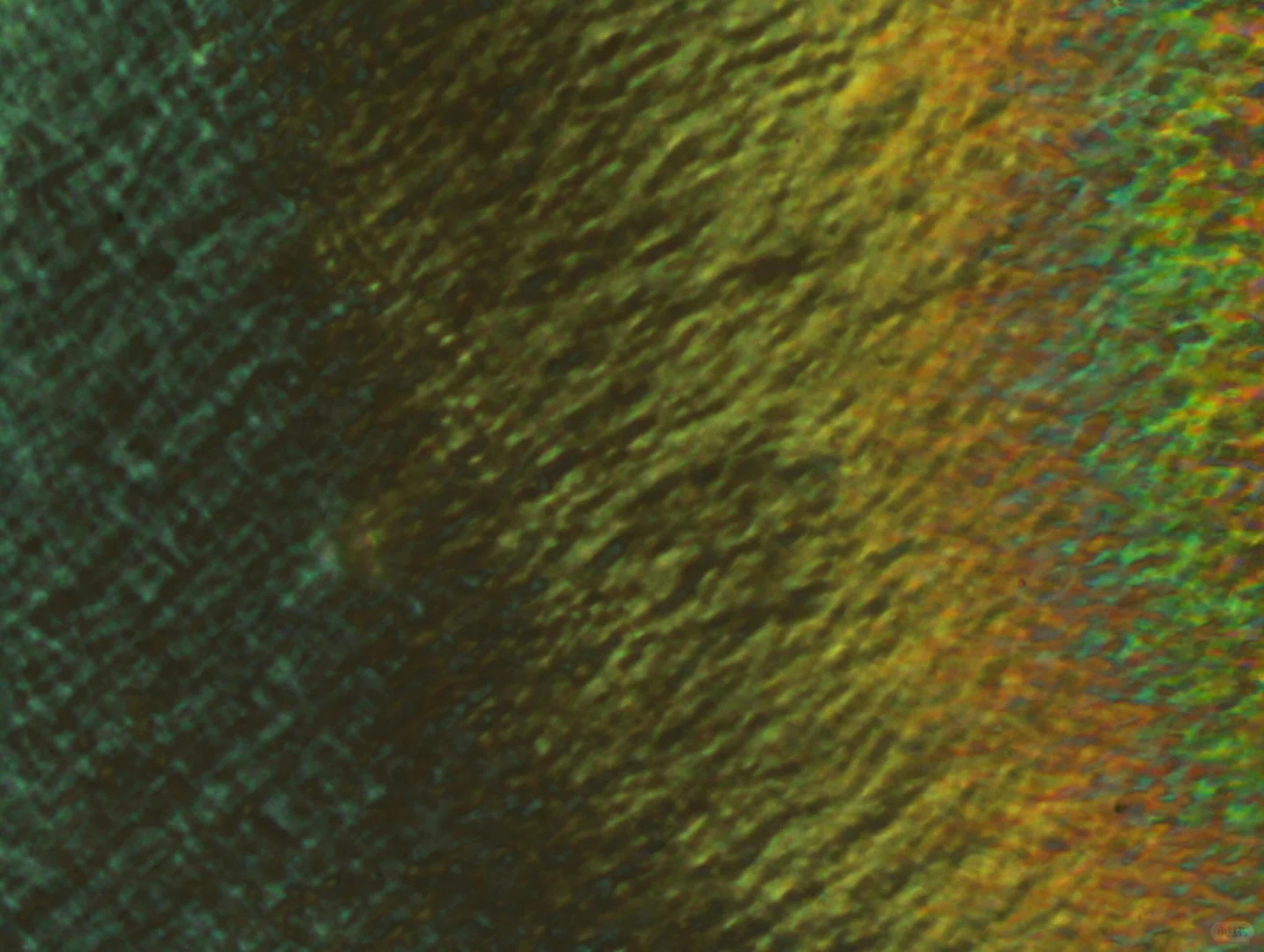 显微镜下的艺术 —— 液晶织构