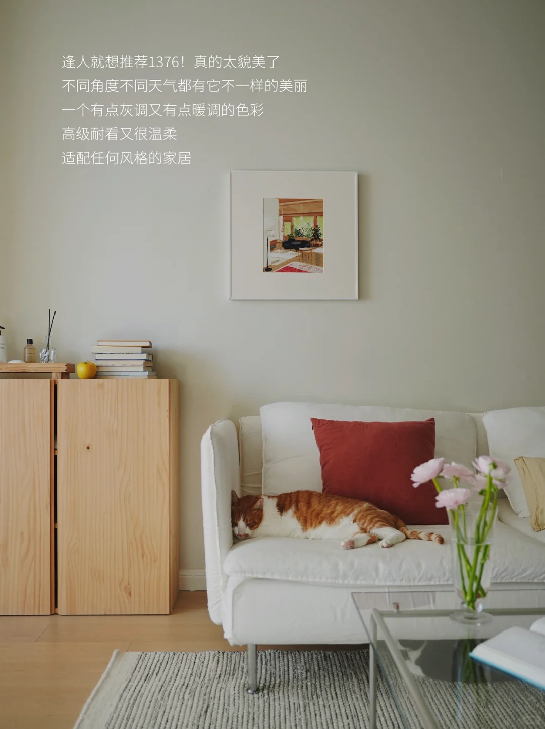 选对墙面的色彩，家的氛围感就成功了一半?