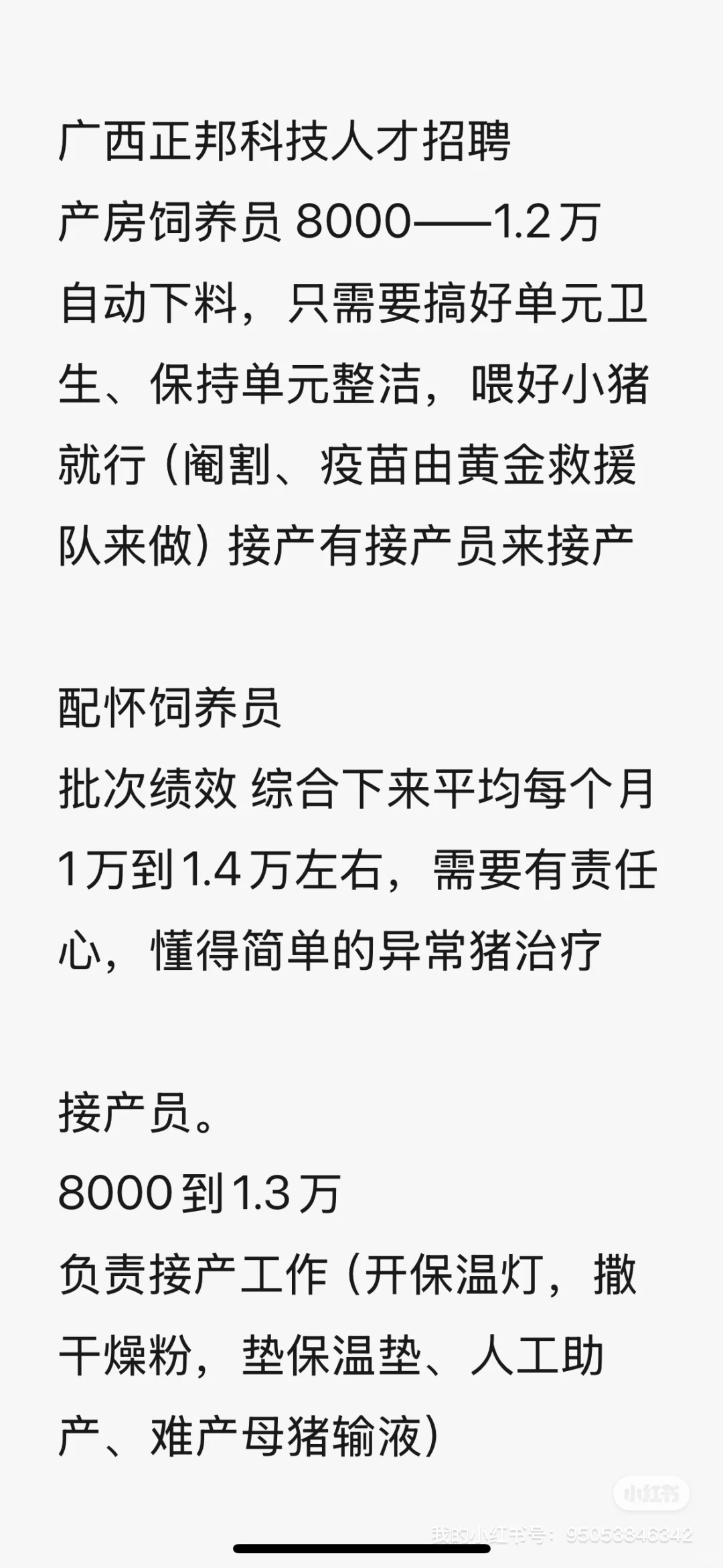 宝子们！还在为找工作焦虑吗？