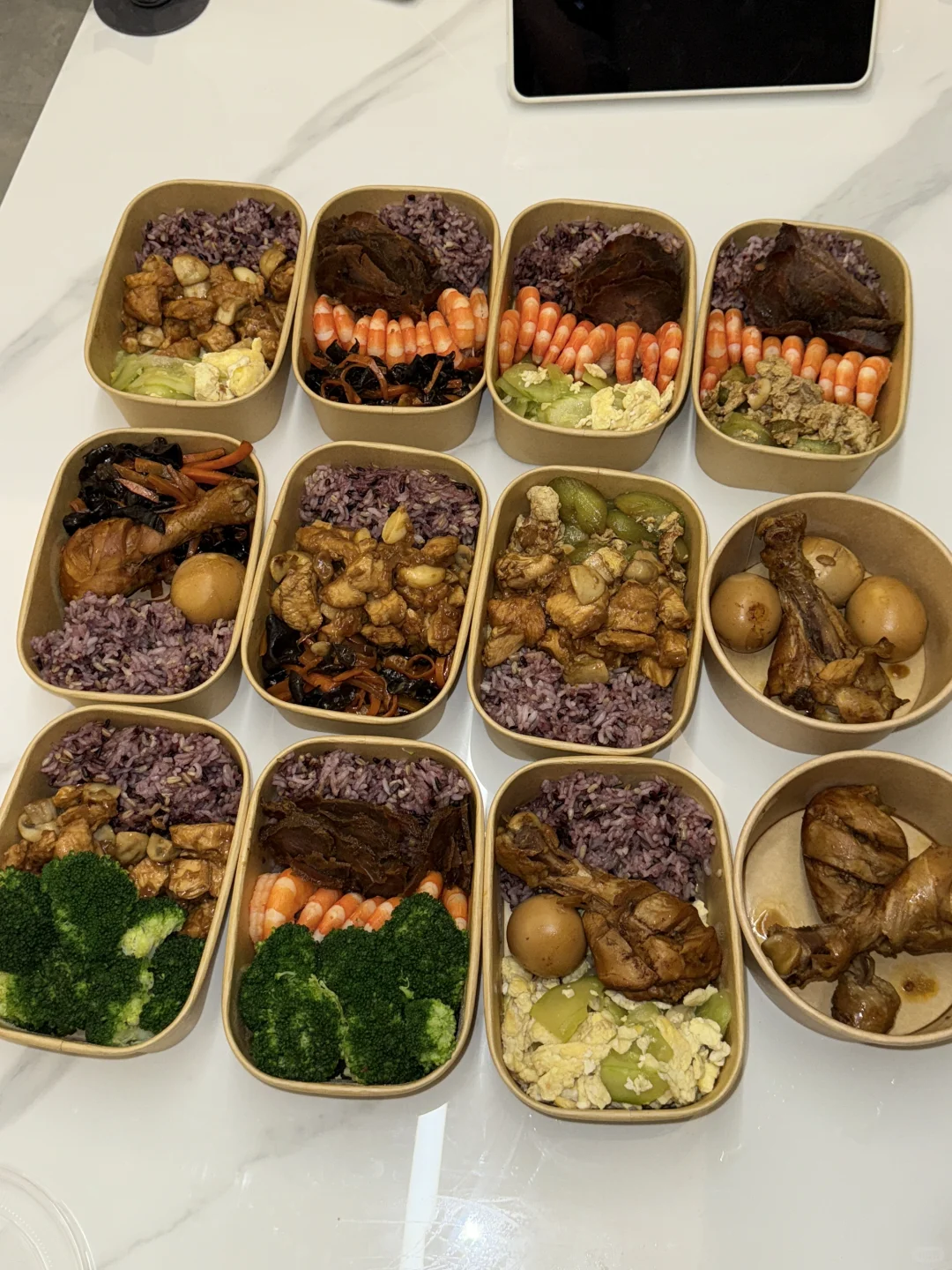 冻门永存 冷冻即永存