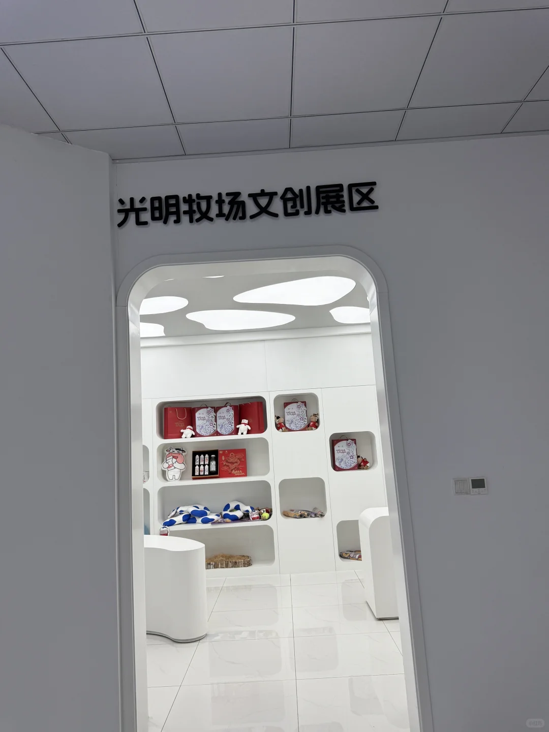 金山光明牧场｜上海周末免费遛娃