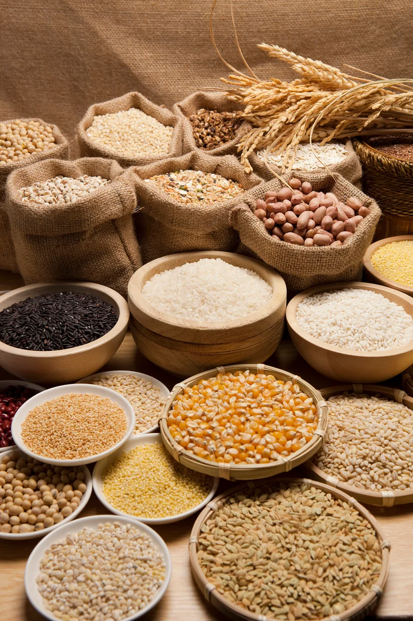 全谷物饮食是否增加凝集素的摄入量