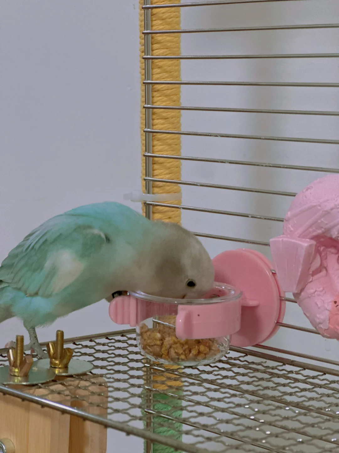 100块钱的快乐小鸡宝宝的玩具架