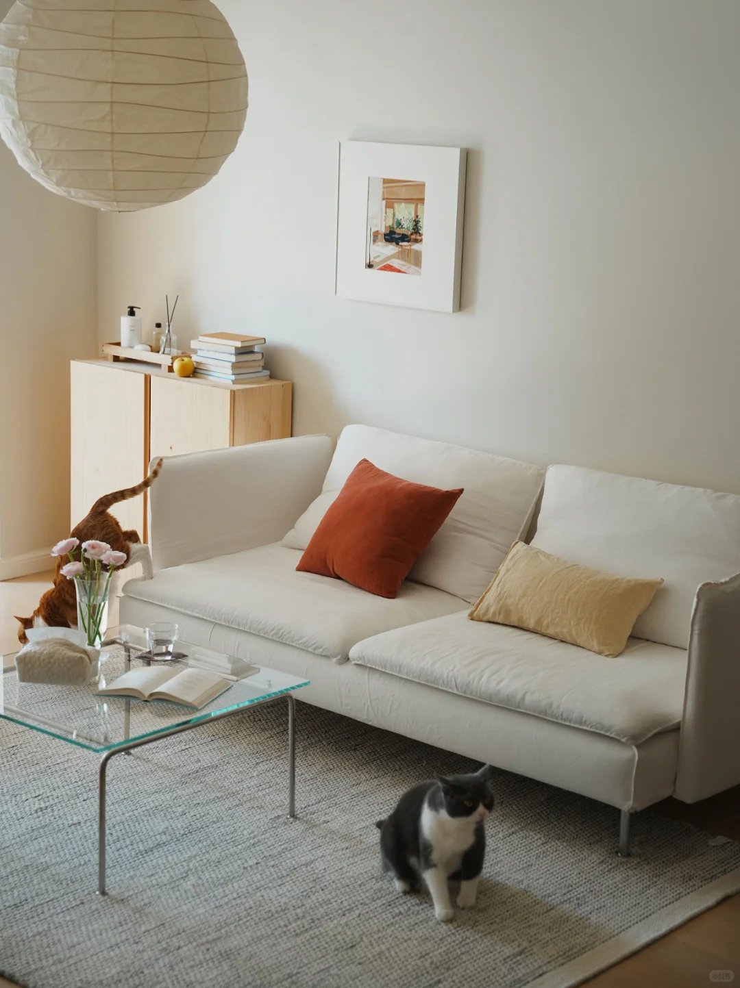 选对墙面的色彩，家的氛围感就成功了一半?