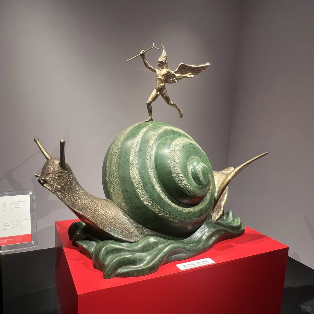 达利的形状｜中国巡展·珠海横琴臻林站