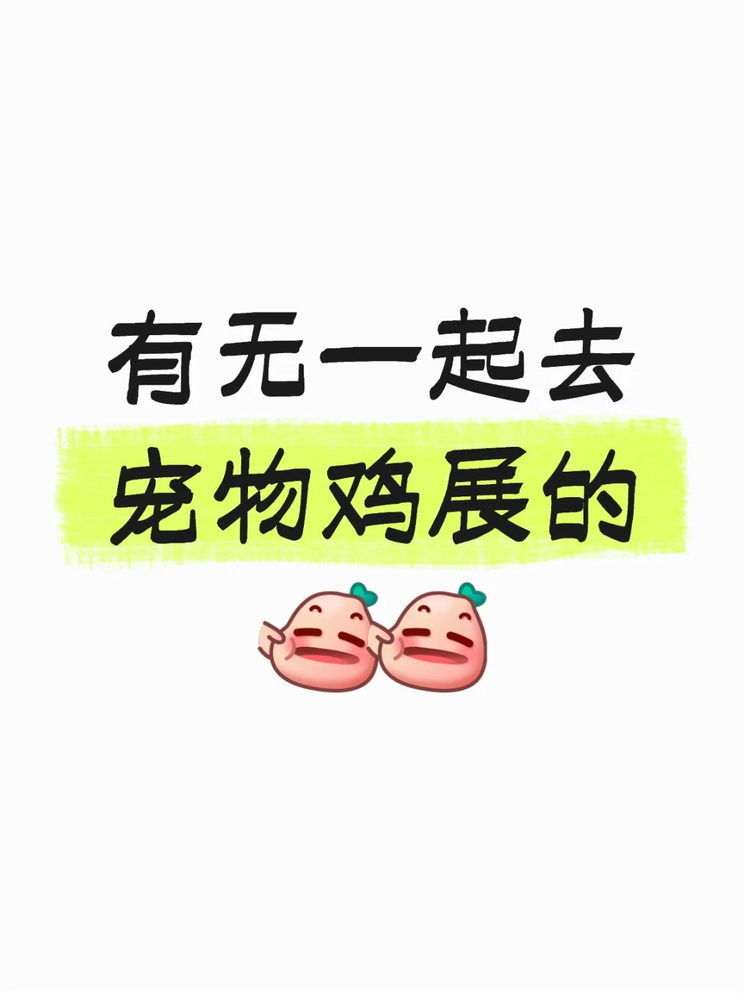 有无一起去宠物鸡展的