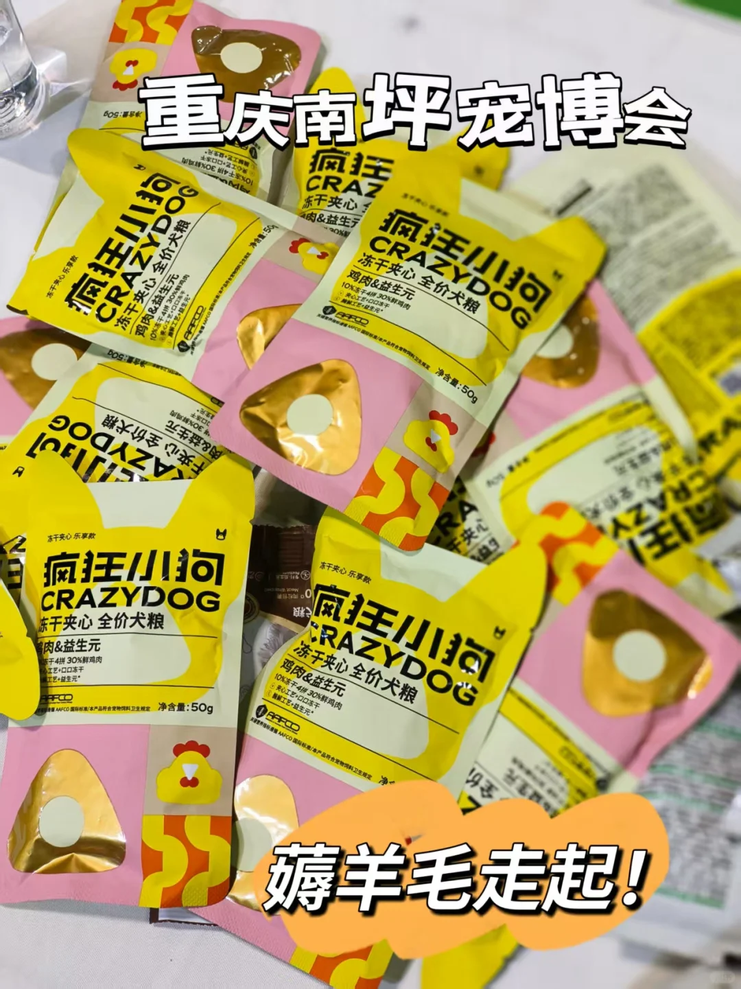 人！来重庆南坪宠博会薅起