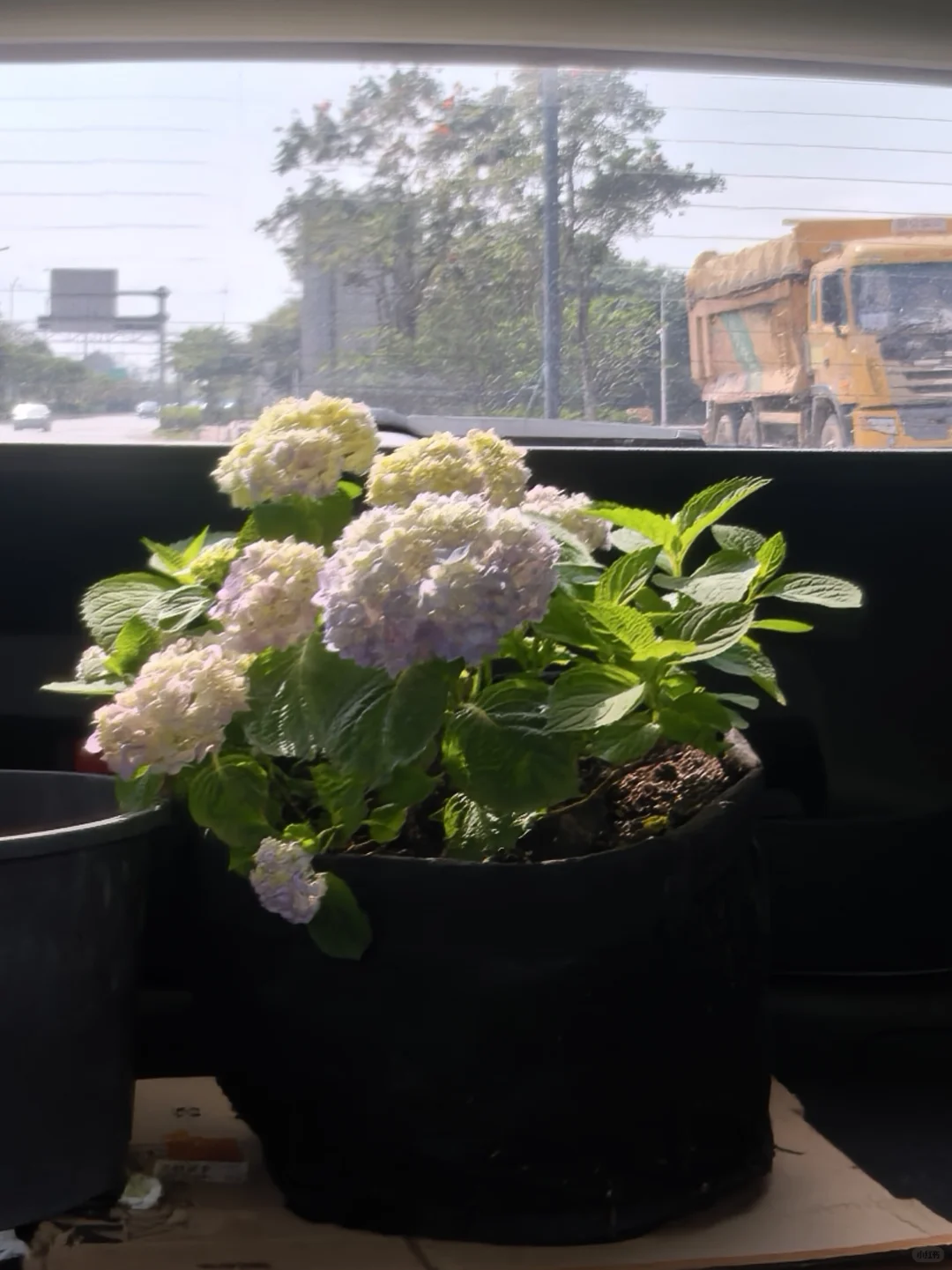 可以看看你们的太阳能灯吗