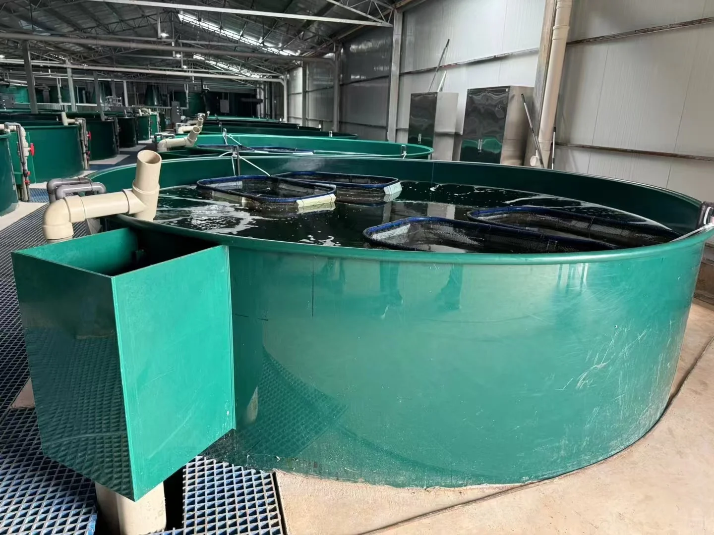 彼欧亿pp板鱼池养殖，干净环保