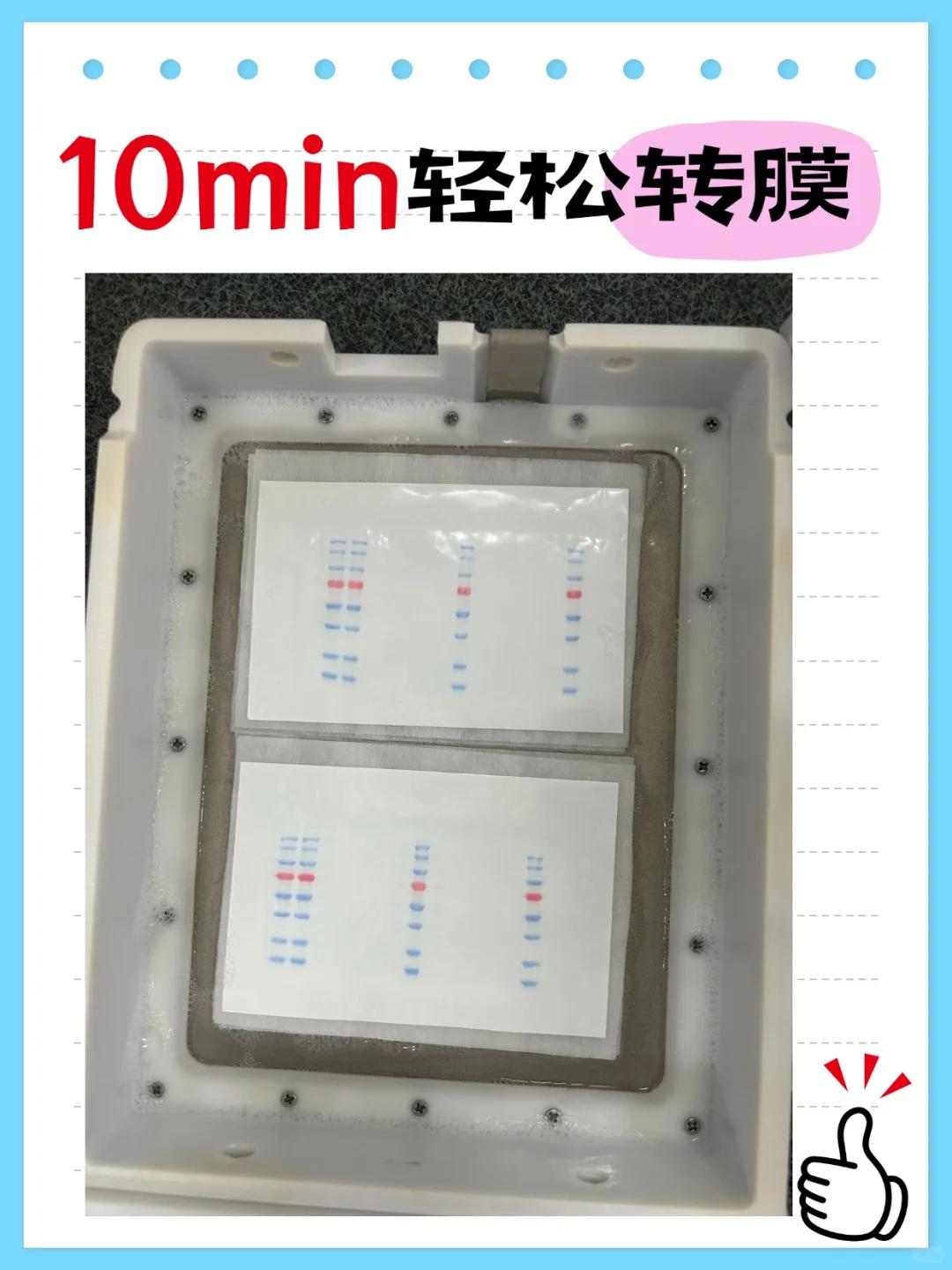 10min轻松转膜,解锁蛋白实验新时速!