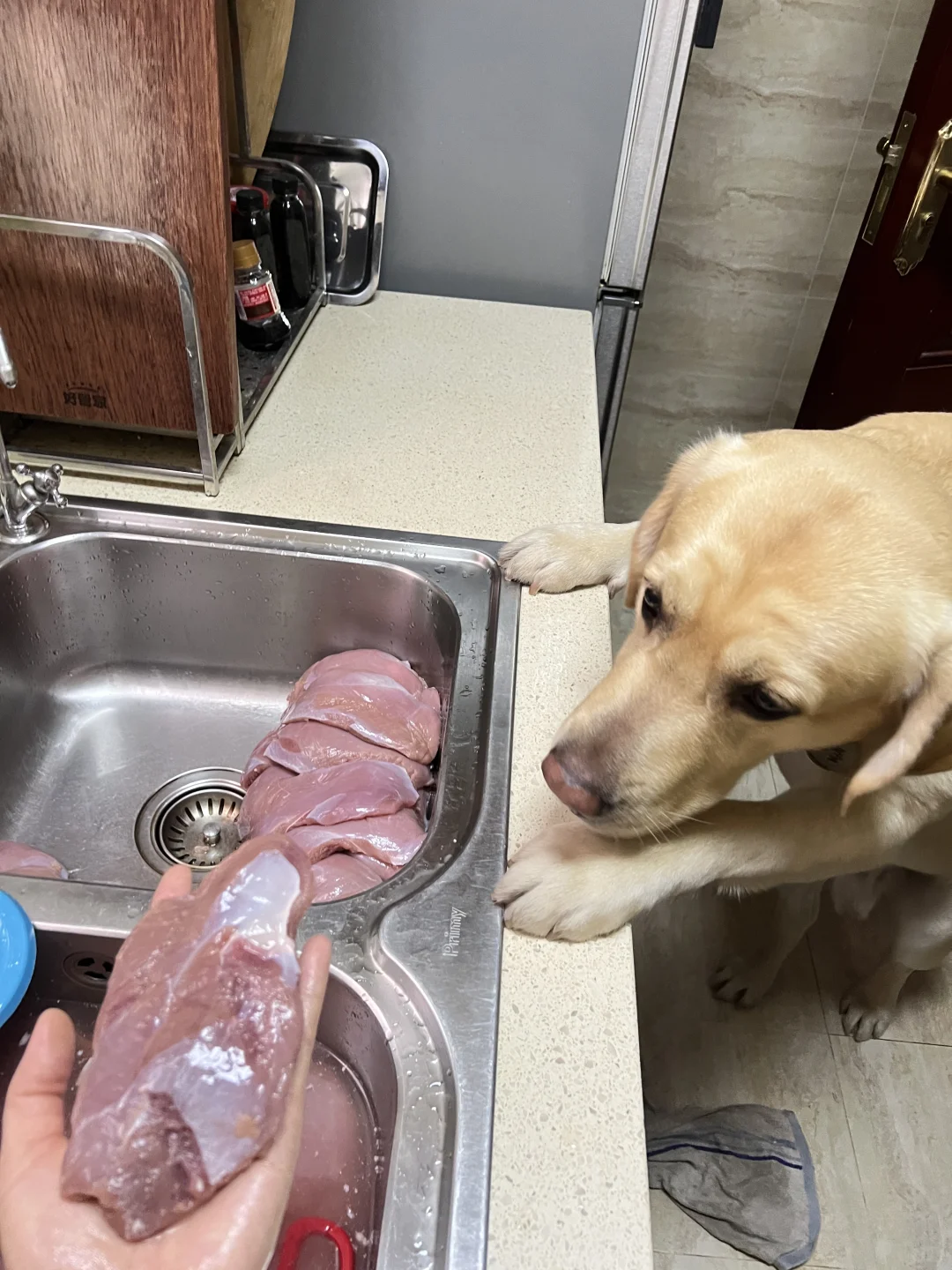 整个人都是生鸭肉味?