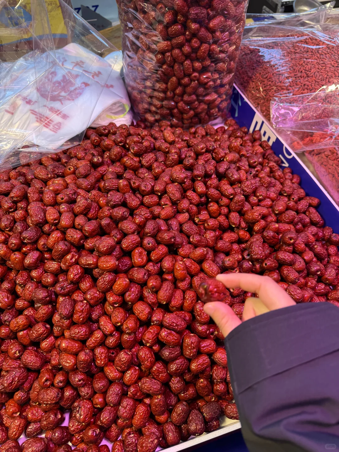 免费在运城进出口博览会吃遍全球?