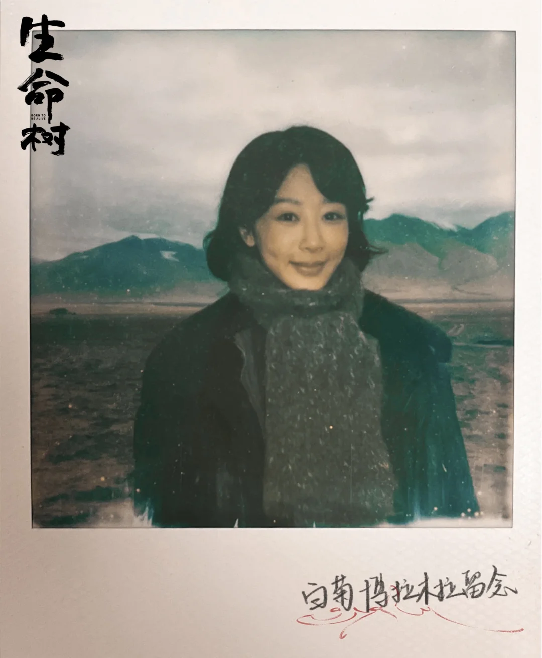 电视剧《生命树》杀青,杨紫领衔主演