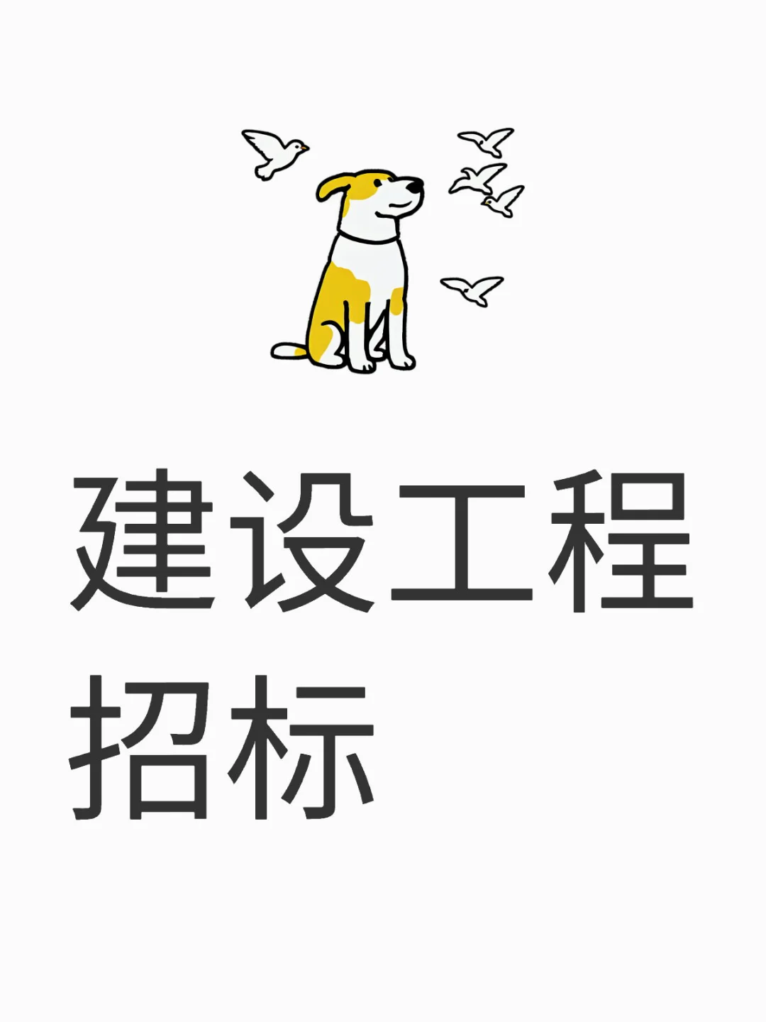 建设工程招标实操(小吐槽)