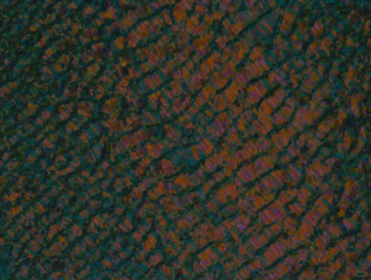 显微镜下的艺术 —— 液晶织构