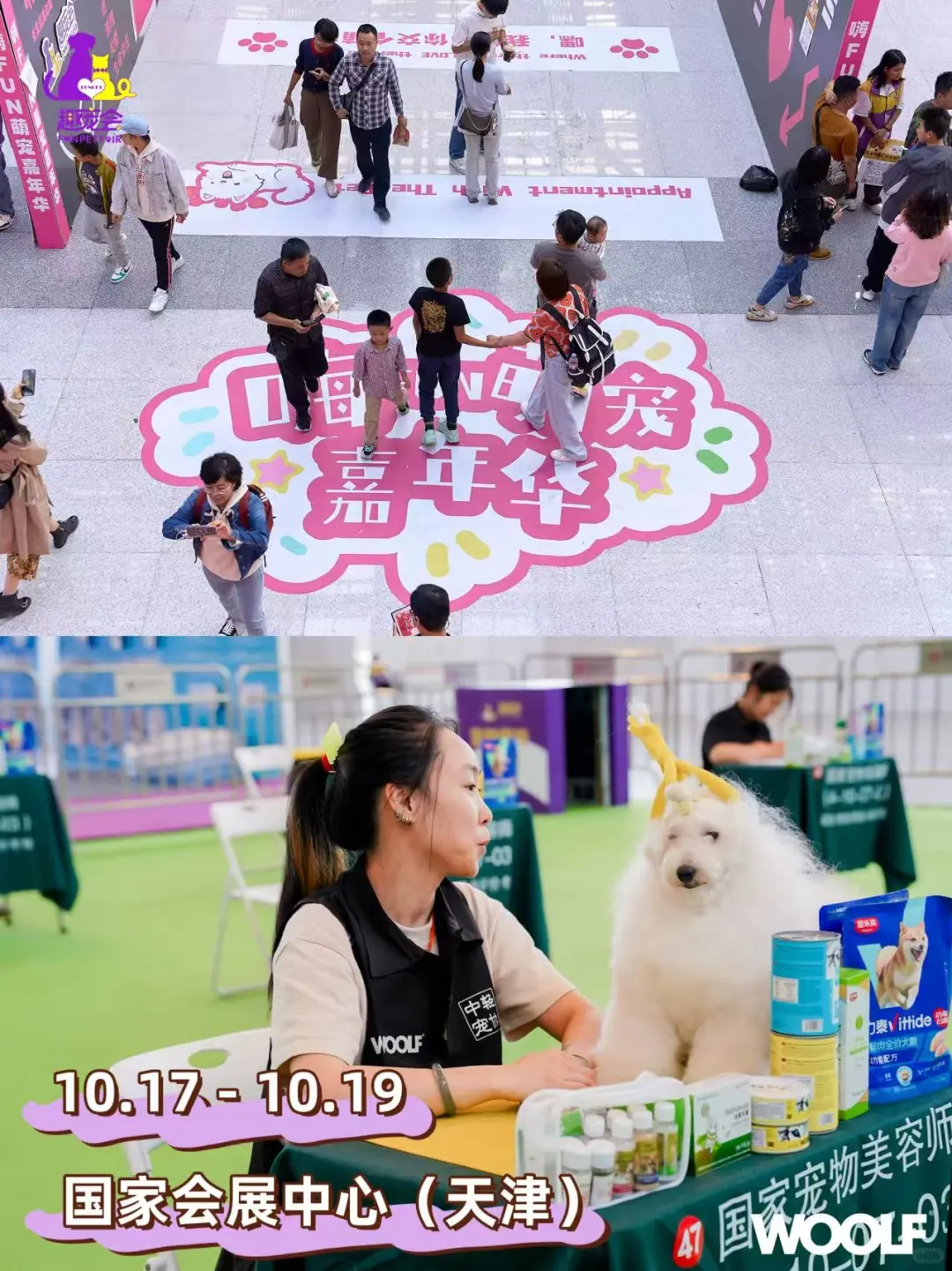 第三届趣宠会定档！天津10.17带毛娃冲