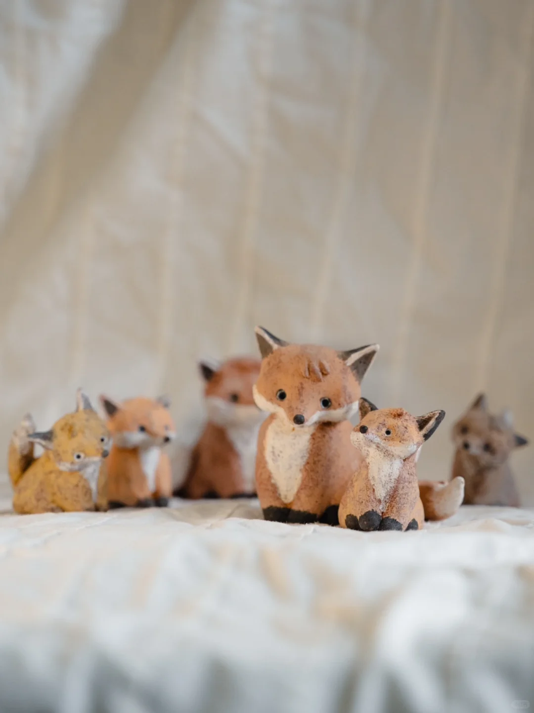 自己拍的小狐狸过于难看被朋友狂卷一顿