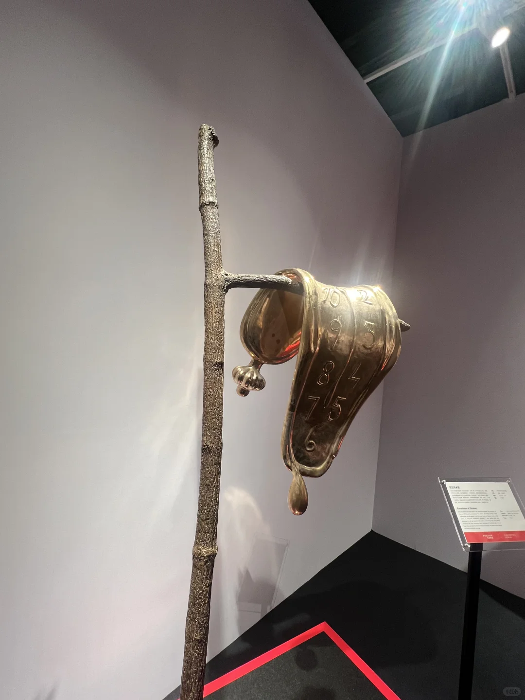 达利的形状｜中国巡展·珠海横琴臻林站