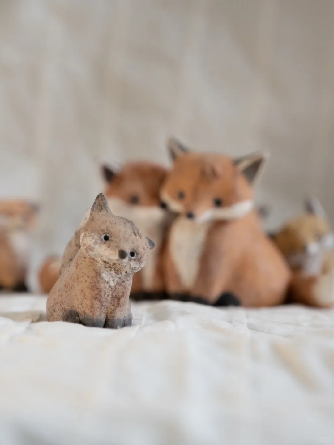 自己拍的小狐狸过于难看被朋友狂卷一顿