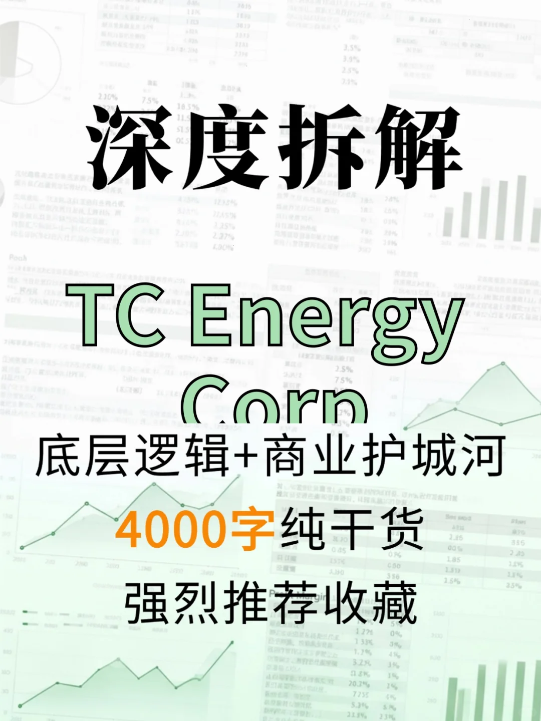 TC Energy Corp 4000 字深度研报
