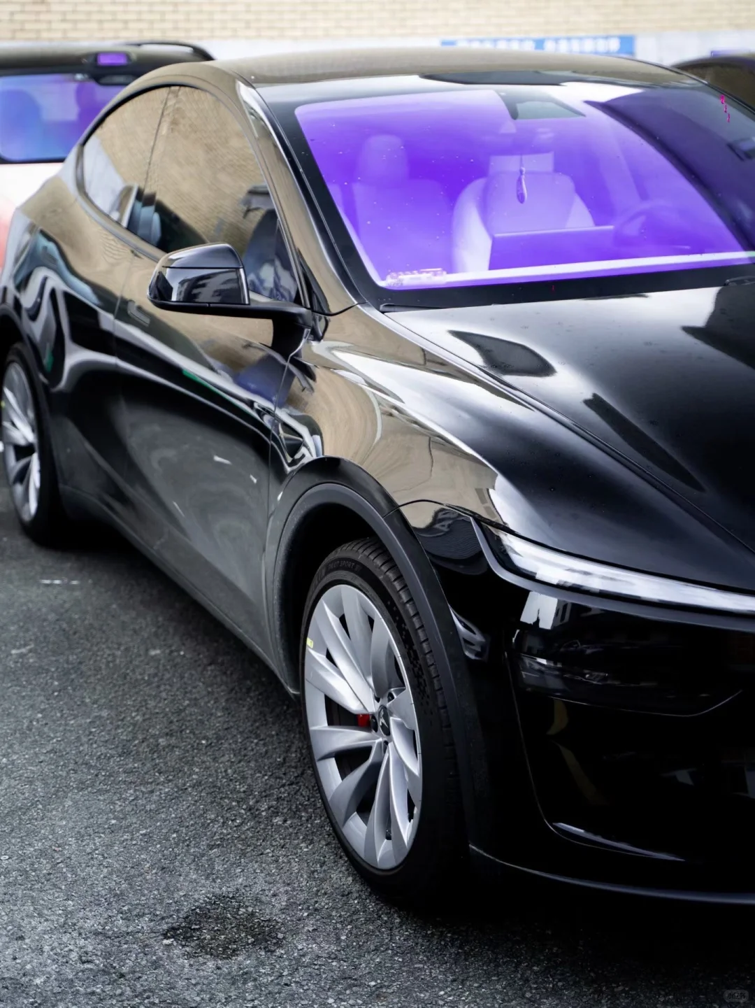 紫色?才显得更有韵味