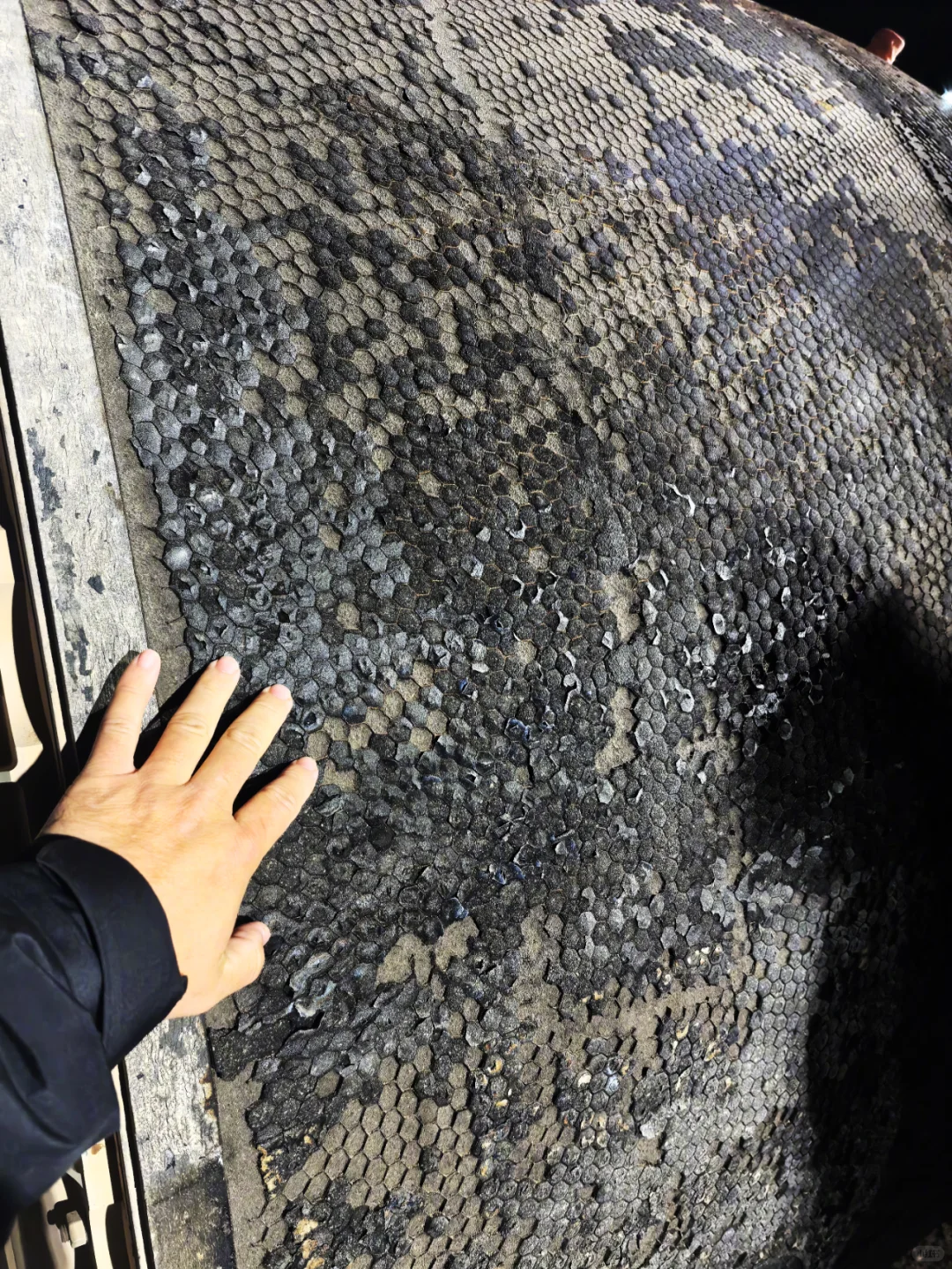 欢迎回球·回收现场