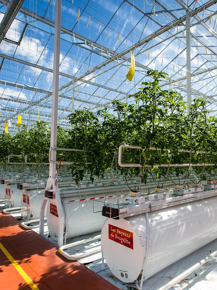 设施农业的发展中面临的三大矛盾及解决路径