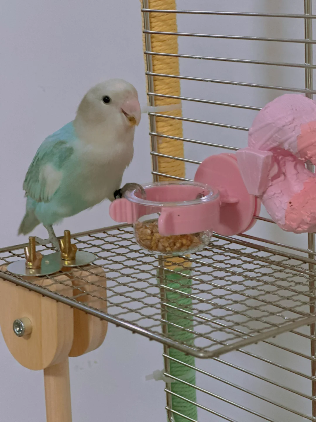 100块钱的快乐小鸡宝宝的玩具架