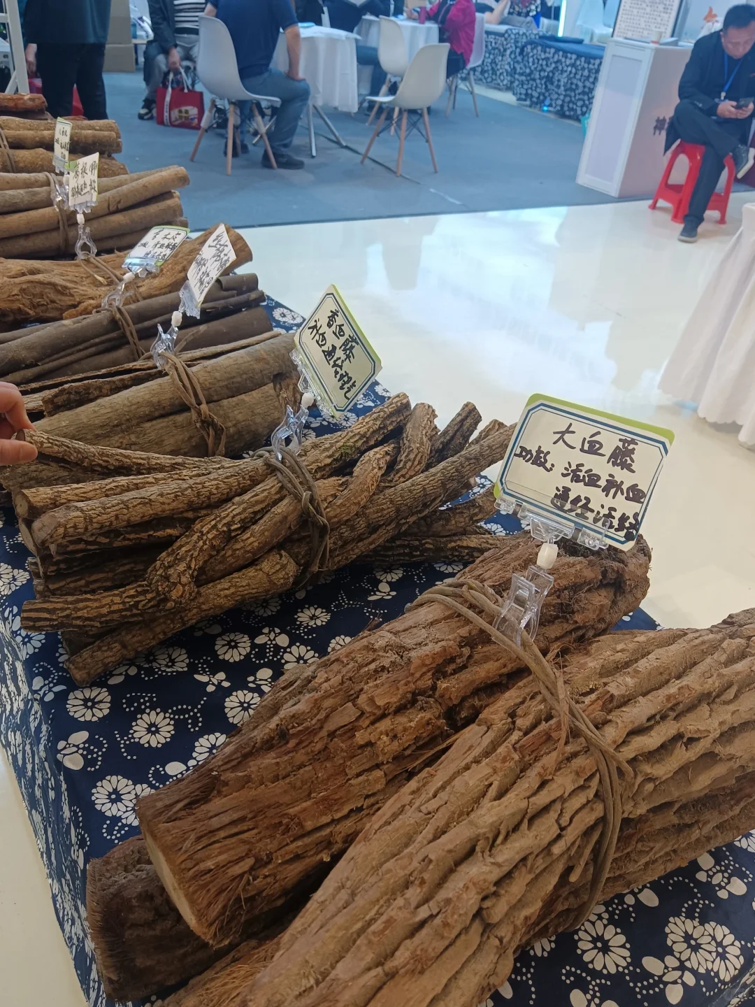 参访2025第六届诊博会记录