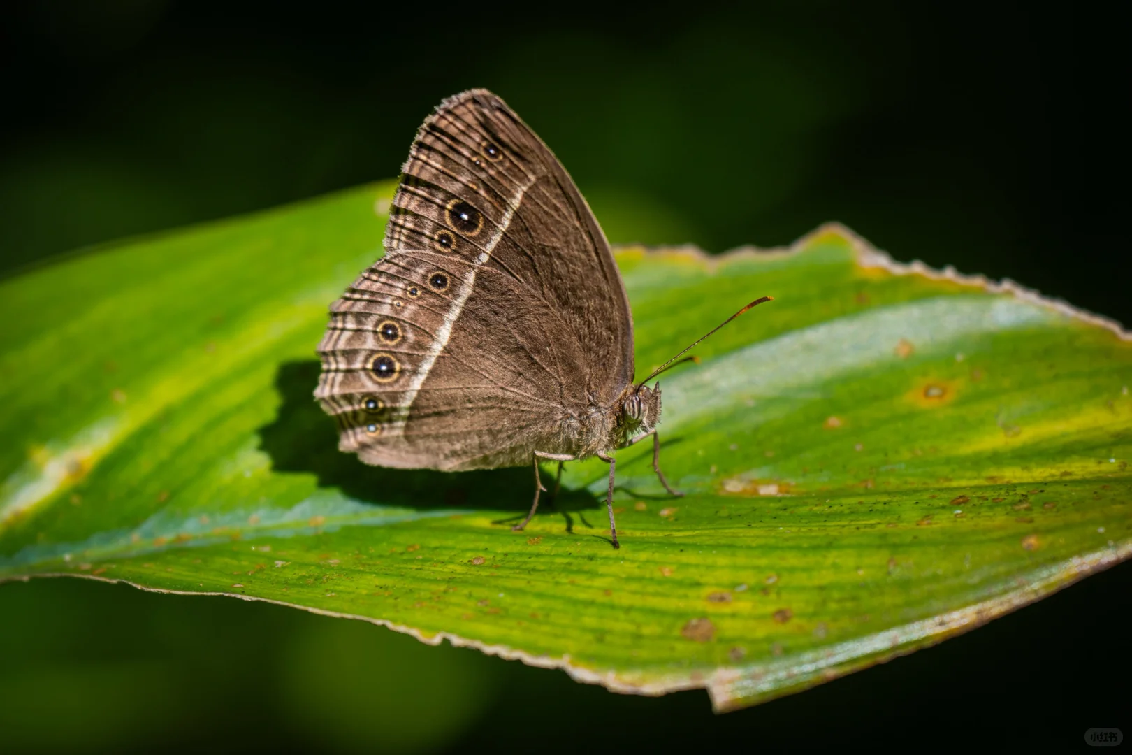 我用索尼a6700拍的照片