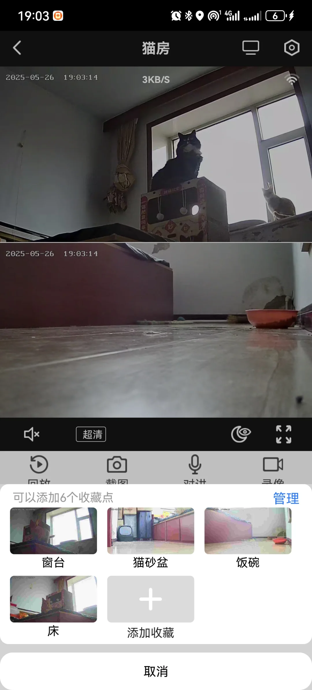 猫房必备监控器