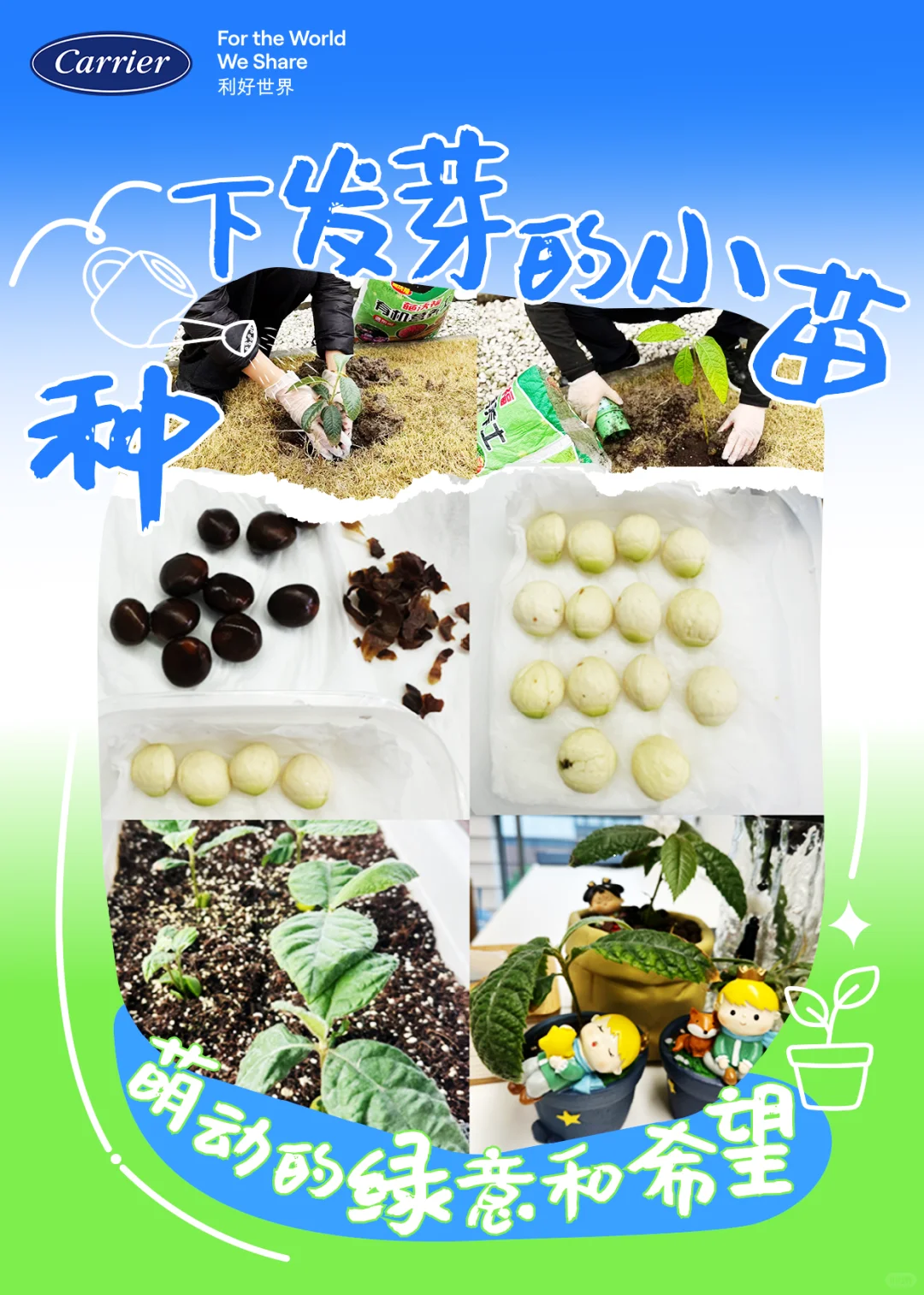 绿色工厂里的环保新风尚?萌动的绿意和希望