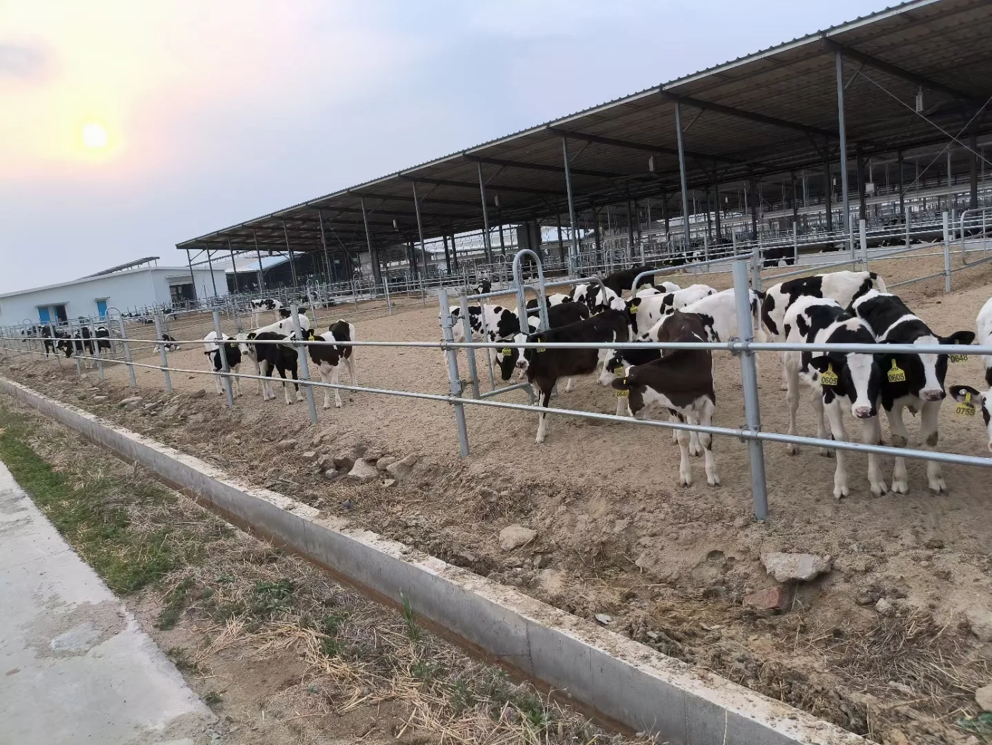 工作找到了 土木转行电工