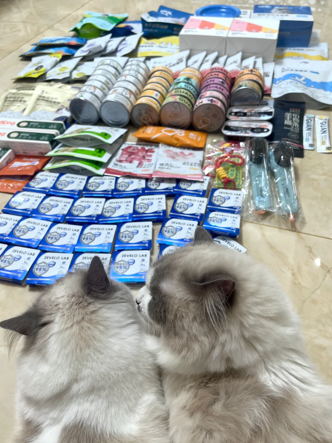 明年大概率不去了！！！2025它博会战绩➕经验