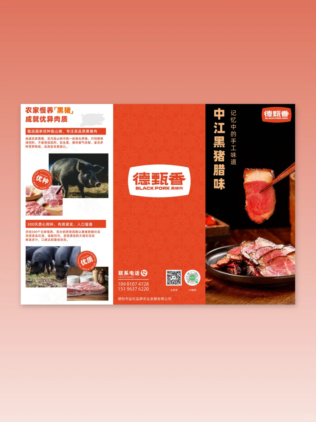 原来甲方喜欢的食品折页是这样的