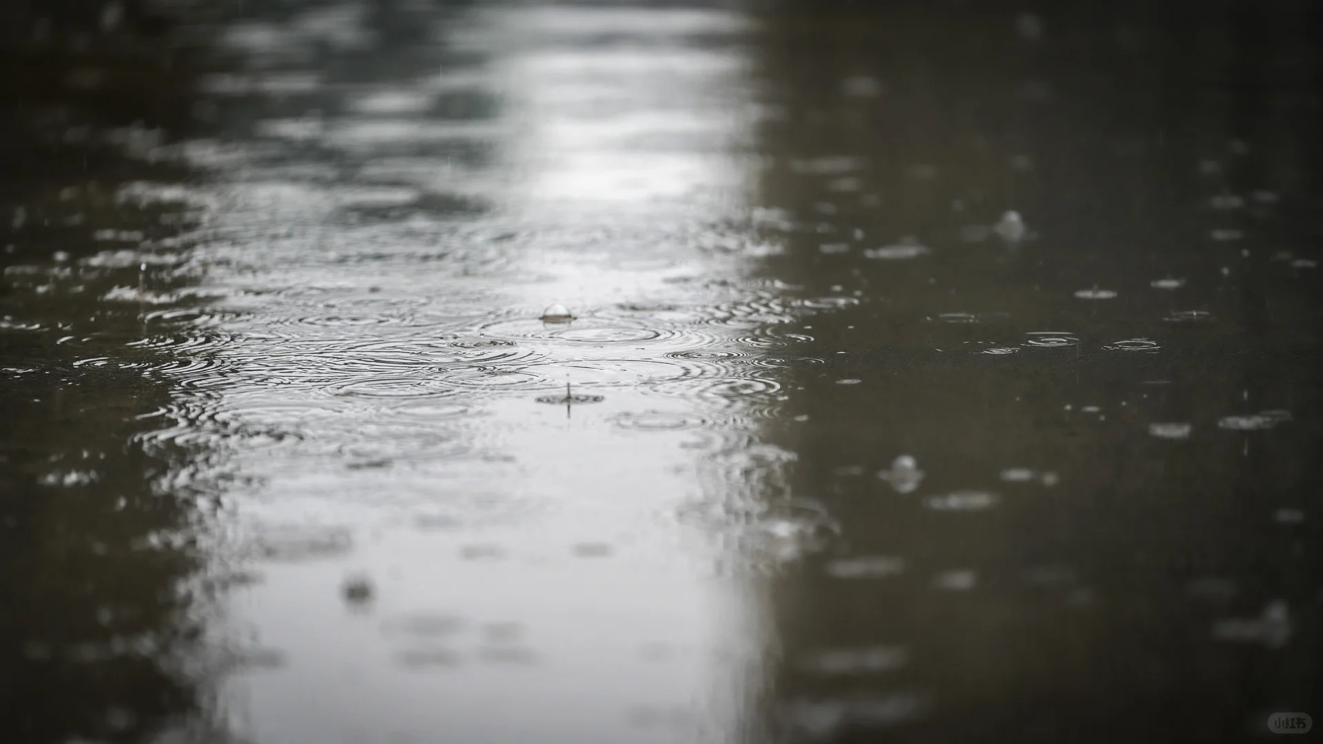 我用索尼a6700拍的照片